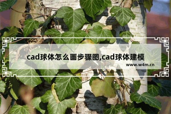 cad球体怎么画步骤图,cad球体建模