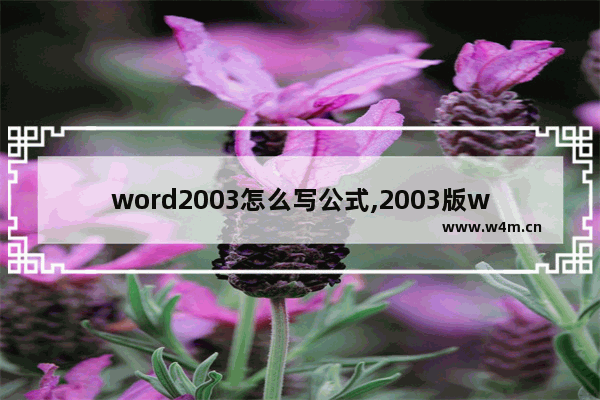 word2003怎么写公式,2003版word怎么输入公式