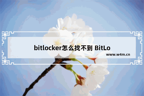 bitlocker怎么找不到 BitLocker无法识别外部设备