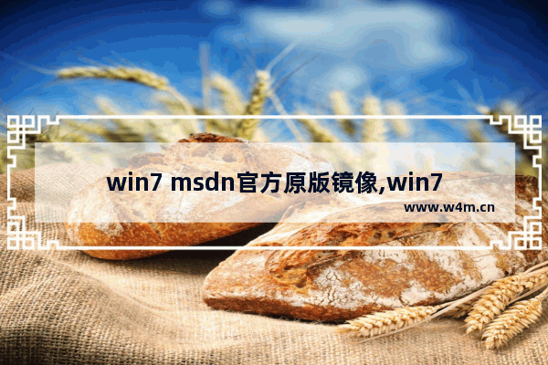 win7 msdn官方原版镜像,win7精简版镜像iso