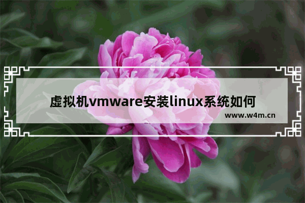 虚拟机vmware安装linux系统如何配置网络,VMware安装linux