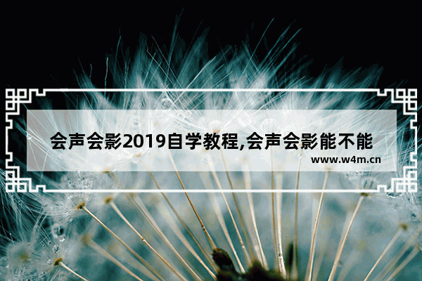 会声会影2019自学教程,会声会影能不能编辑音频