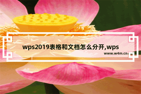 wps2019表格和文档怎么分开,wpsword与excel合并