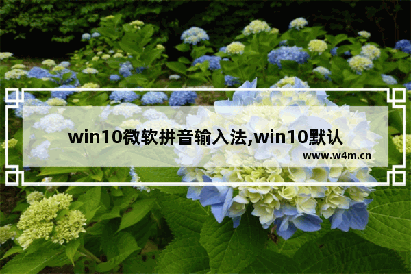 win10微软拼音输入法,win10默认微软拼音