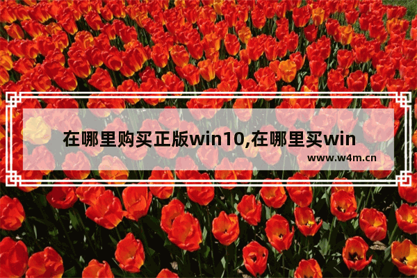 在哪里购买正版win10,在哪里买win10正版系统