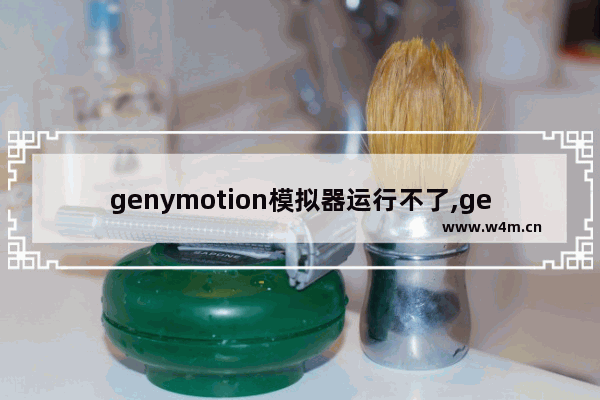 genymotion模拟器运行不了,genymotion无法登录