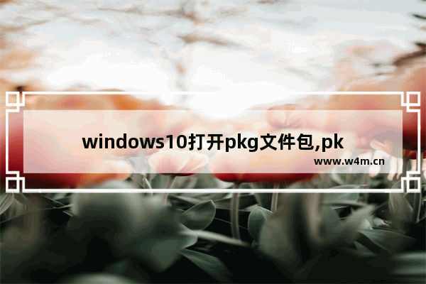 windows10打开pkg文件包,pkg文件用windows怎么打开