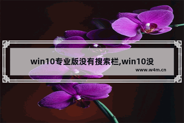 win10专业版没有搜索栏,win10没有搜索功能