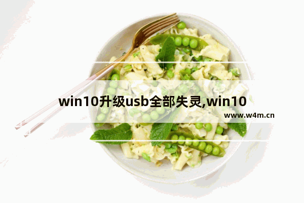 win10升级usb全部失灵,win10 usb驱动修复