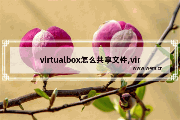 virtualbox怎么共享文件,virtualbox 文件共享