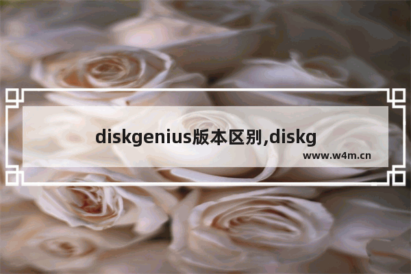 diskgenius版本区别,diskgenius收费版和免费版区别