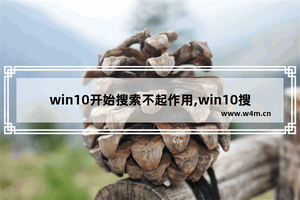 win10开始搜索不起作用,win10搜索不到应用