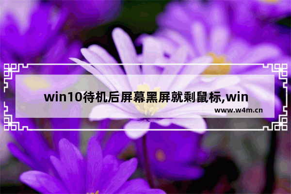 win10待机后屏幕黑屏就剩鼠标,win10黑屏无鼠标