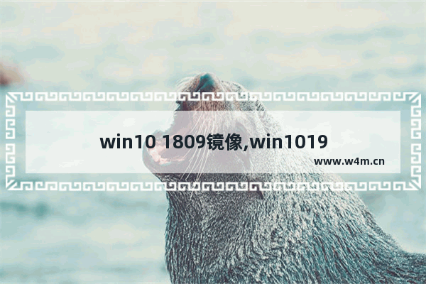 win10 1809镜像,win101909激活