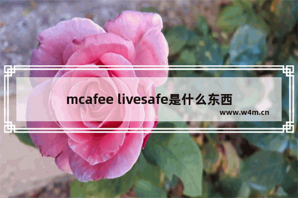 mcafee livesafe是什么东西,mcafeelivesafe有用吗