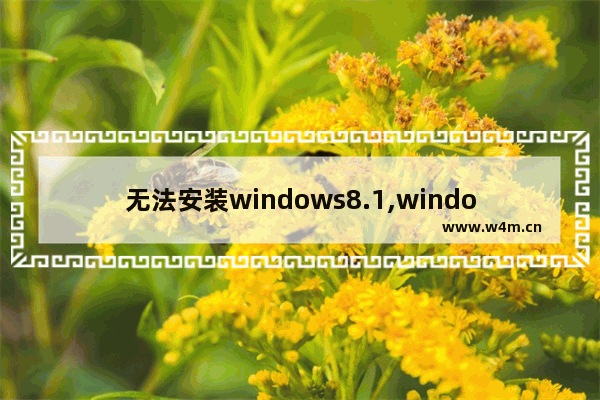 无法安装windows8.1,windows8.1系统自动修复失败怎么办