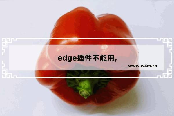 edge插件不能用,