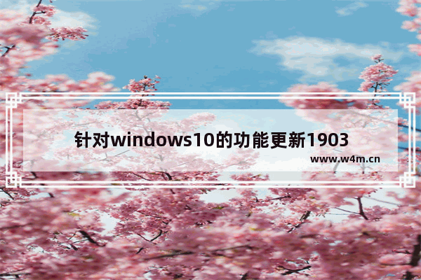 针对windows10的功能更新1903,