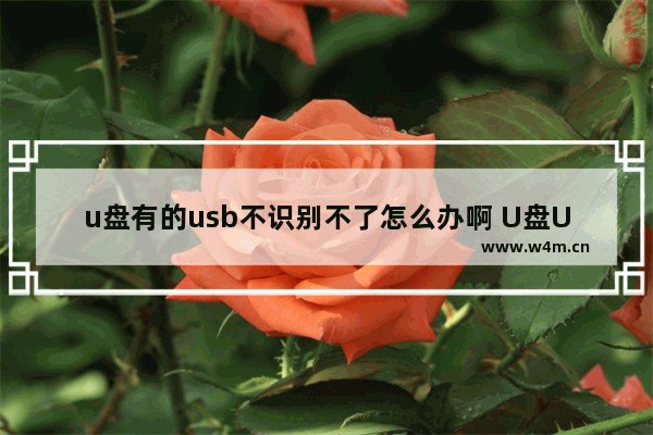 u盘有的usb不识别不了怎么办啊 U盘USB无法识别？解决方法在这里！