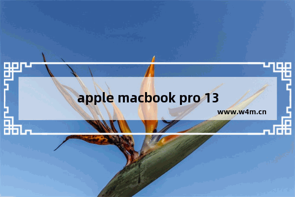 apple macbook pro 13寸,2017款macbook pro 13寸