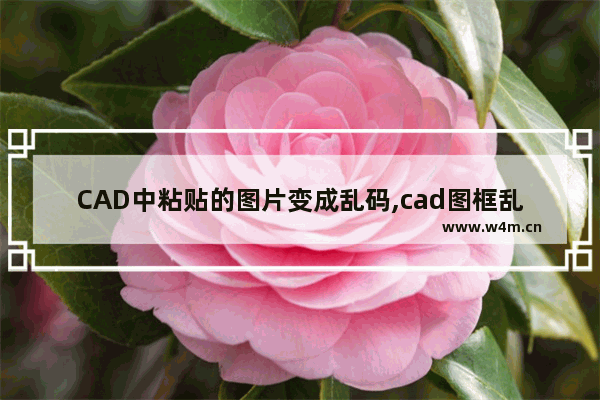 CAD中粘贴的图片变成乱码,cad图框乱码怎么解决