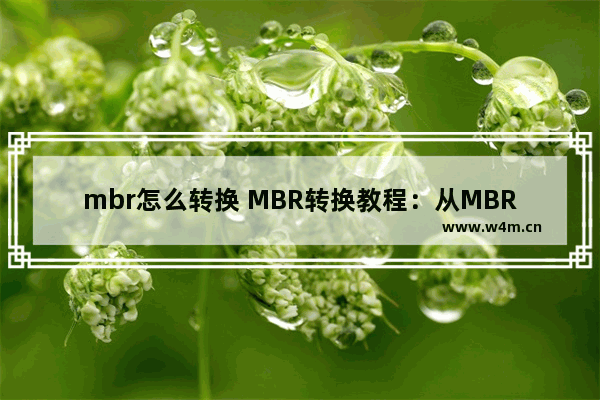 mbr怎么转换 MBR转换教程：从MBR到GPT