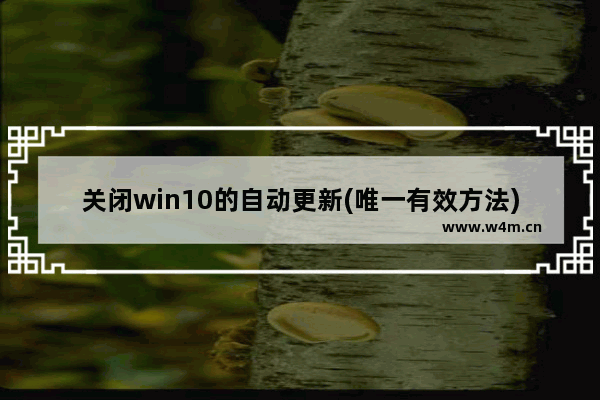 关闭win10的自动更新(唯一有效方法),win10系统关闭自动更新的方法