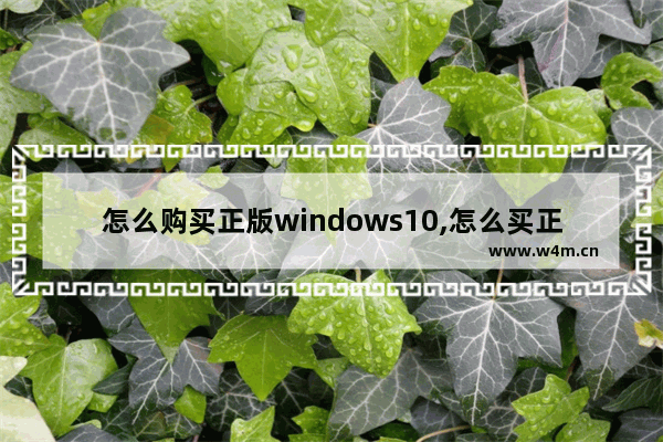 怎么购买正版windows10,怎么买正版windows10