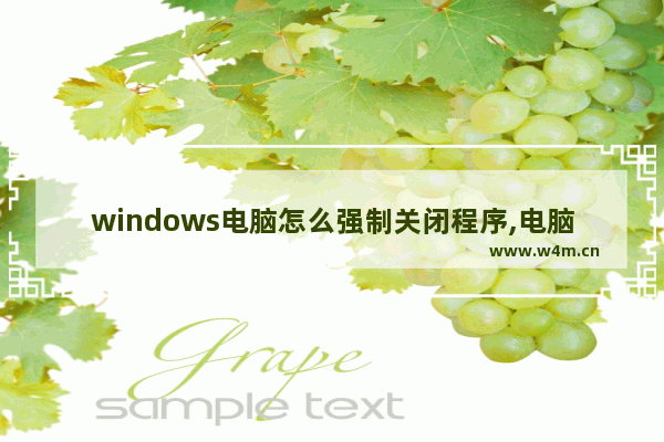 windows电脑怎么强制关闭程序,电脑如何强制关闭程序运行