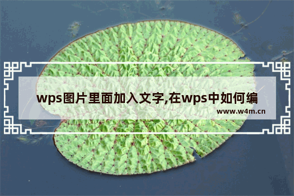 wps图片里面加入文字,在wps中如何编辑图片下面加文字说明