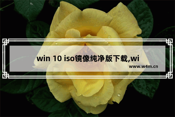 win 10 iso镜像纯净版下载,windows10专业版iso镜像下载