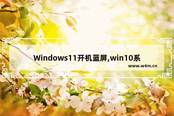 Windows11开机蓝屏,win10系统开机蓝屏