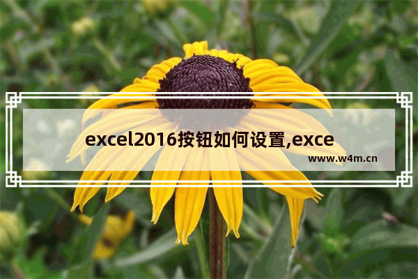 excel2016按钮如何设置,excel2007选项按钮如何设置