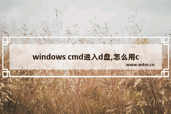 windows cmd进入d盘,怎么用cmd命令进入D盘