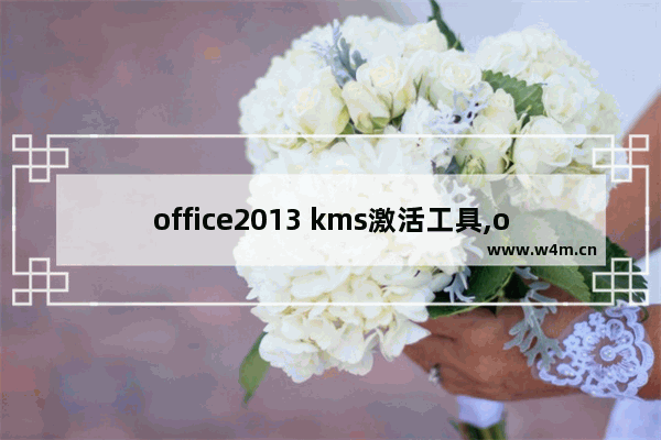 office2013 kms激活工具,office激活工具KMS