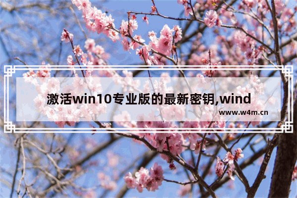 激活win10专业版的最新密钥,windows10永久激活码 win10专业版密钥