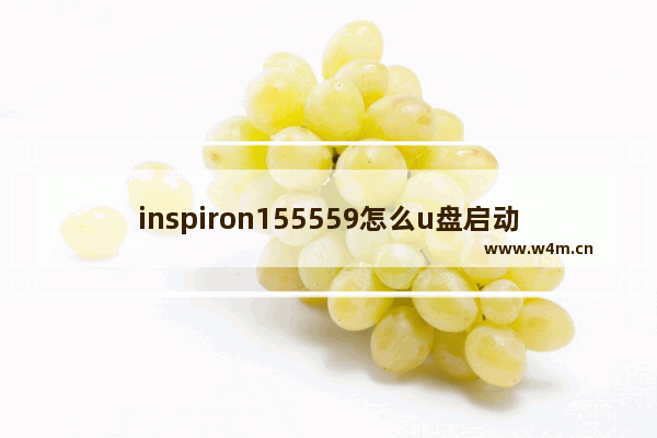 inspiron155559怎么u盘启动 如何通过U盘启动Inspiron 155559