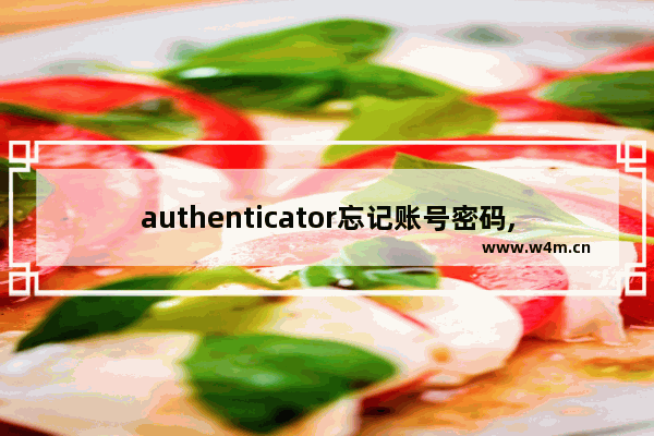 authenticator忘记账号密码,microsoft authenticator怎么扫码