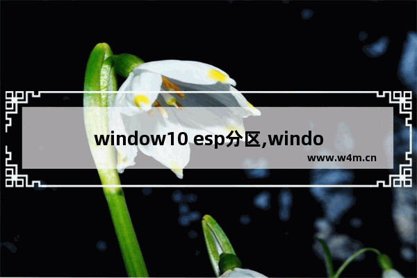 window10 esp分区,windows esp分区