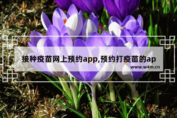 接种疫苗网上预约app,预约打疫苗的app有哪些