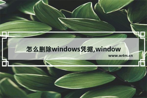 怎么删除windows凭据,windows命令行删除凭据