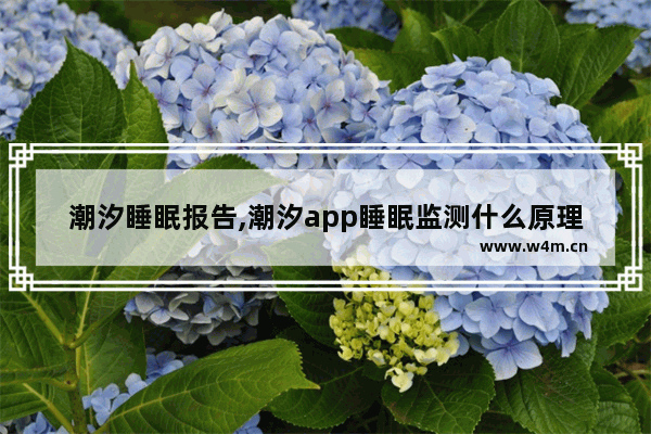 潮汐睡眠报告,潮汐app睡眠监测什么原理