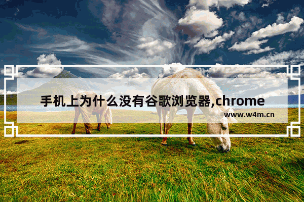 手机上为什么没有谷歌浏览器,chrome 触摸屏模式