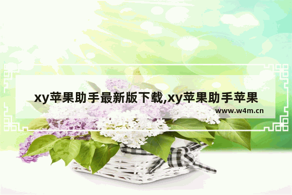 xy苹果助手最新版下载,xy苹果助手苹果版