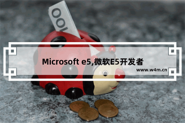 Microsoft e5,微软E5开发者