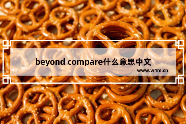 beyond compare什么意思中文,beyond compare是什么