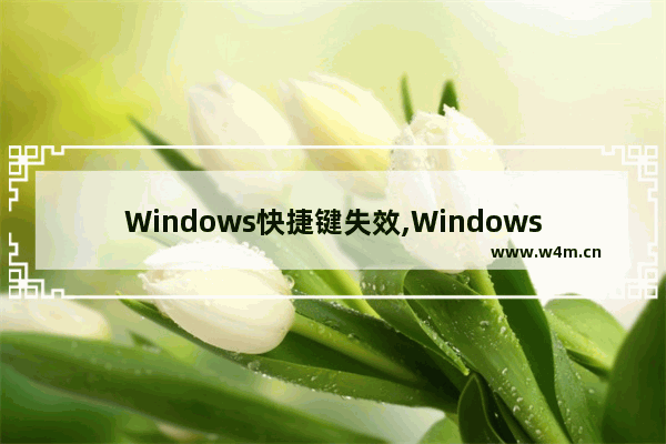 Windows快捷键失效,Windows7键盘快捷键不能用了