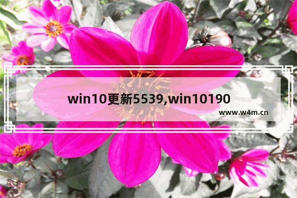 win10更新5539,win101903更新