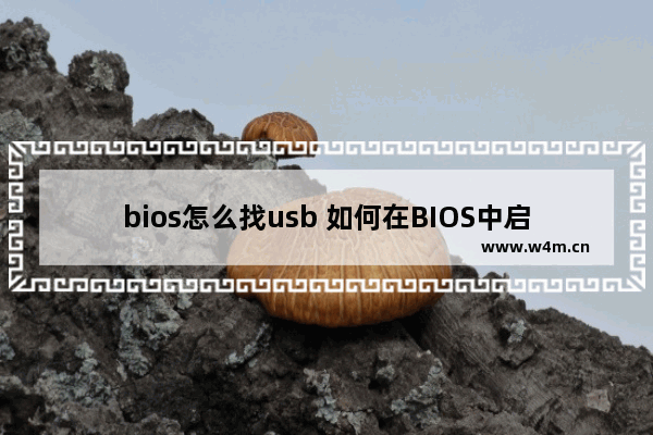 bios怎么找usb 如何在BIOS中启用USB？