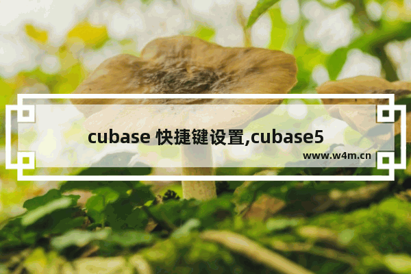 cubase 快捷键设置,cubase5快捷键设置